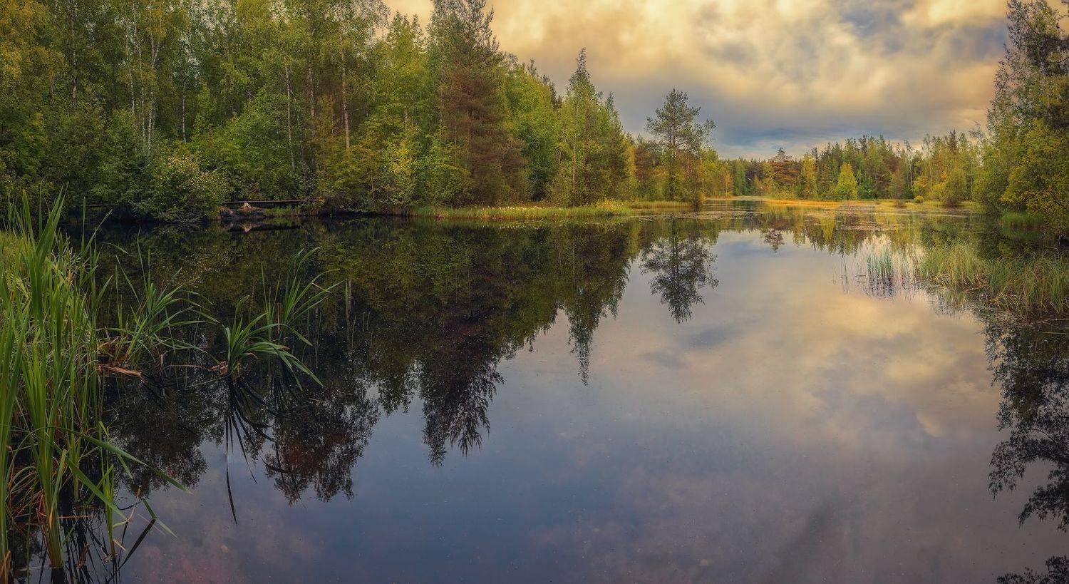 сестрорецк озеро июнь закат лето, Константин Скороходов