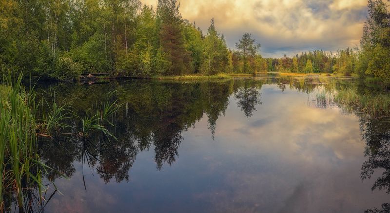 сестрорецк озеро июнь закат лето Зеркало лета фото превью
