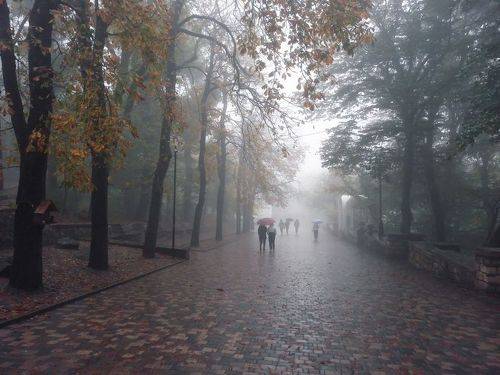 Утро дождливое и туманное. 