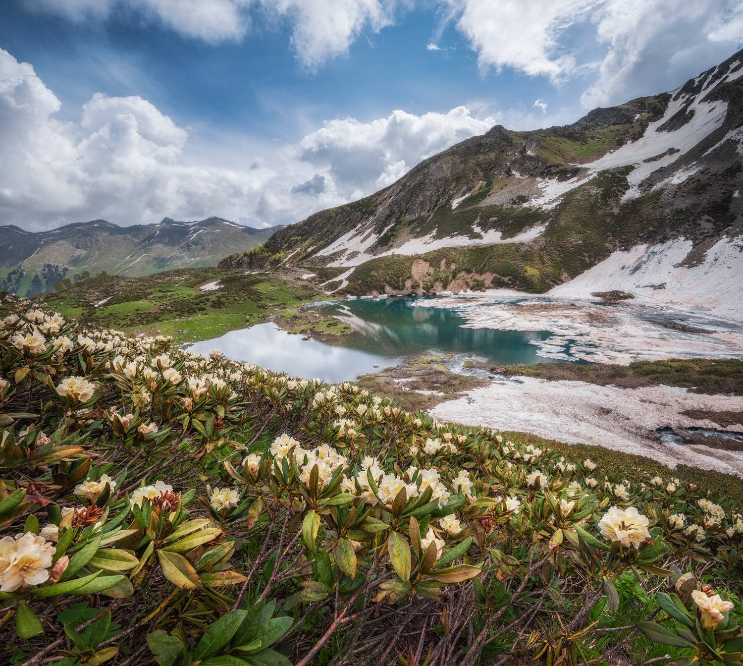 , Кахарова Наргиза
