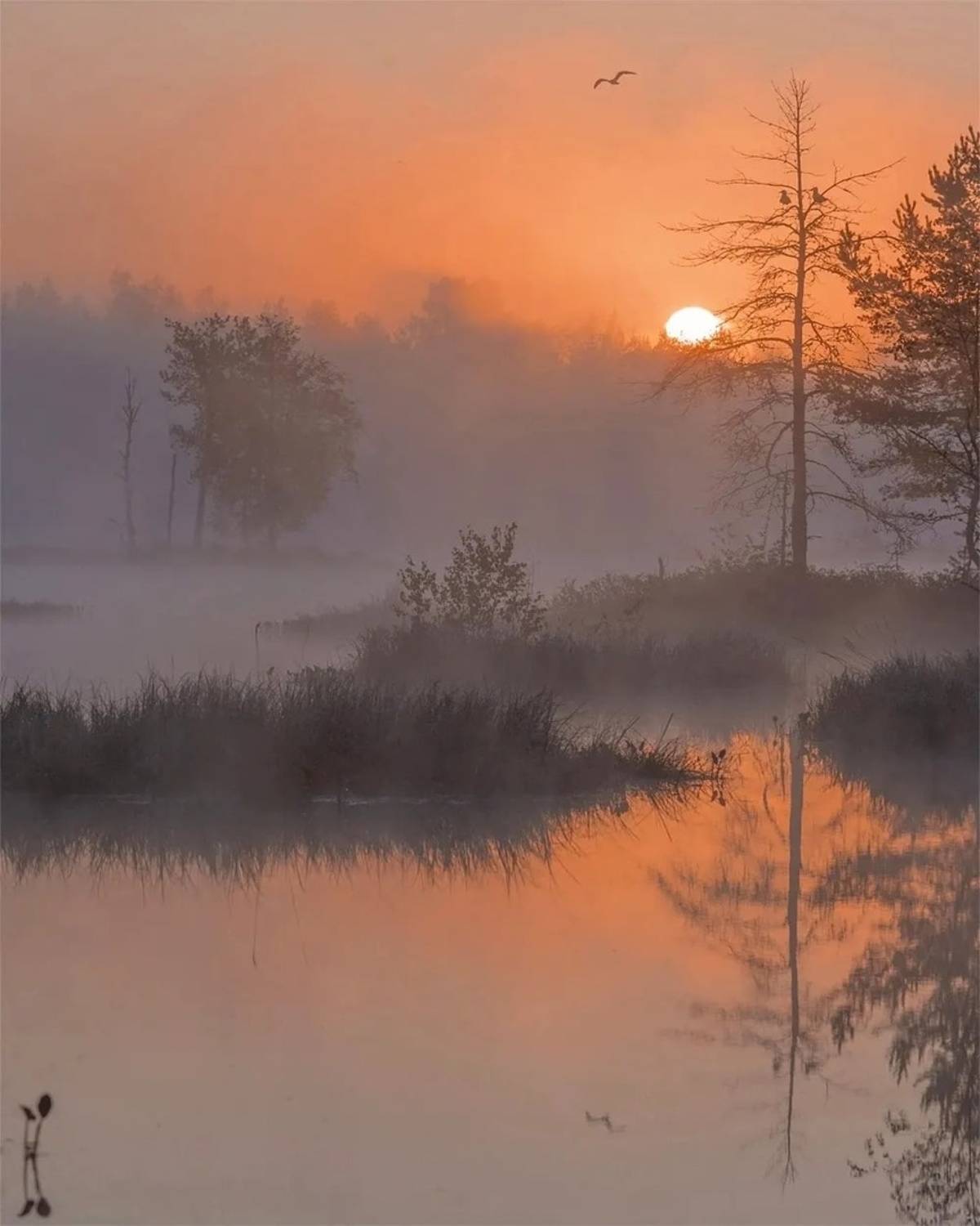 , Петр Косых