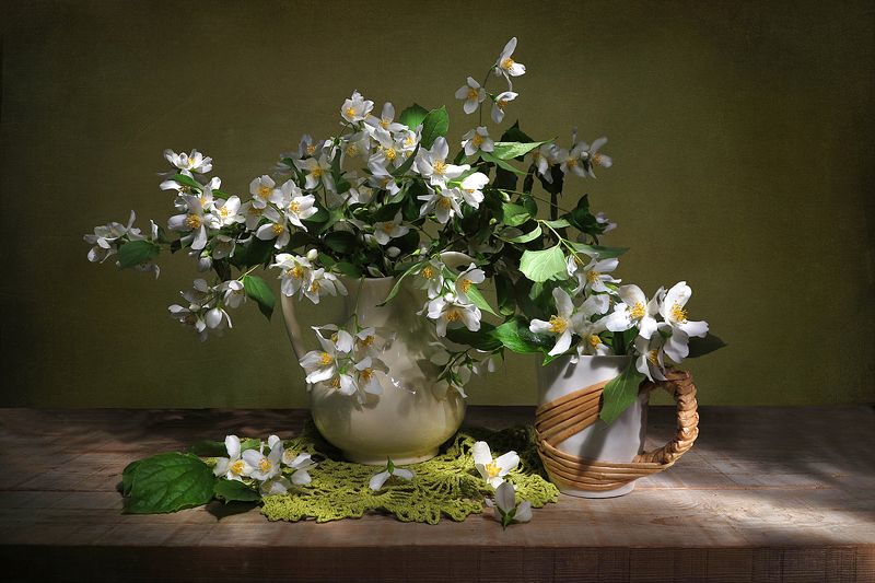 С жасмином фото превью