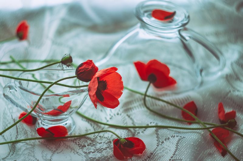 Маки фото превью