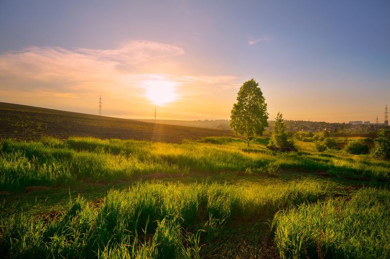 Летним вечером фото превью