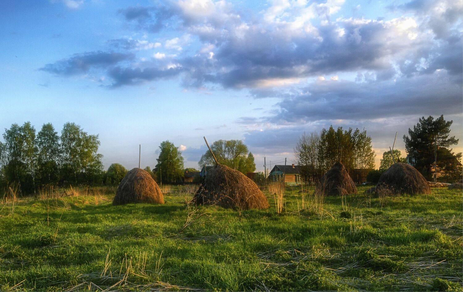 , Вера Петри