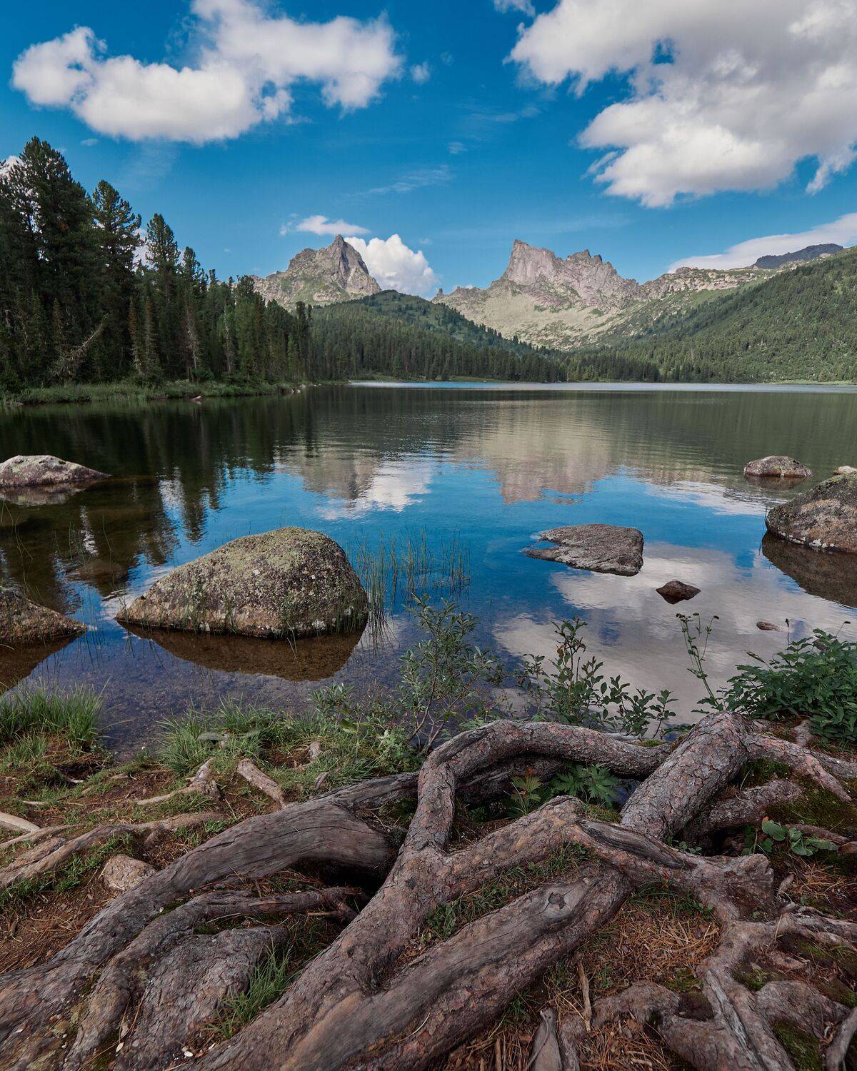 , Андрей Немшон