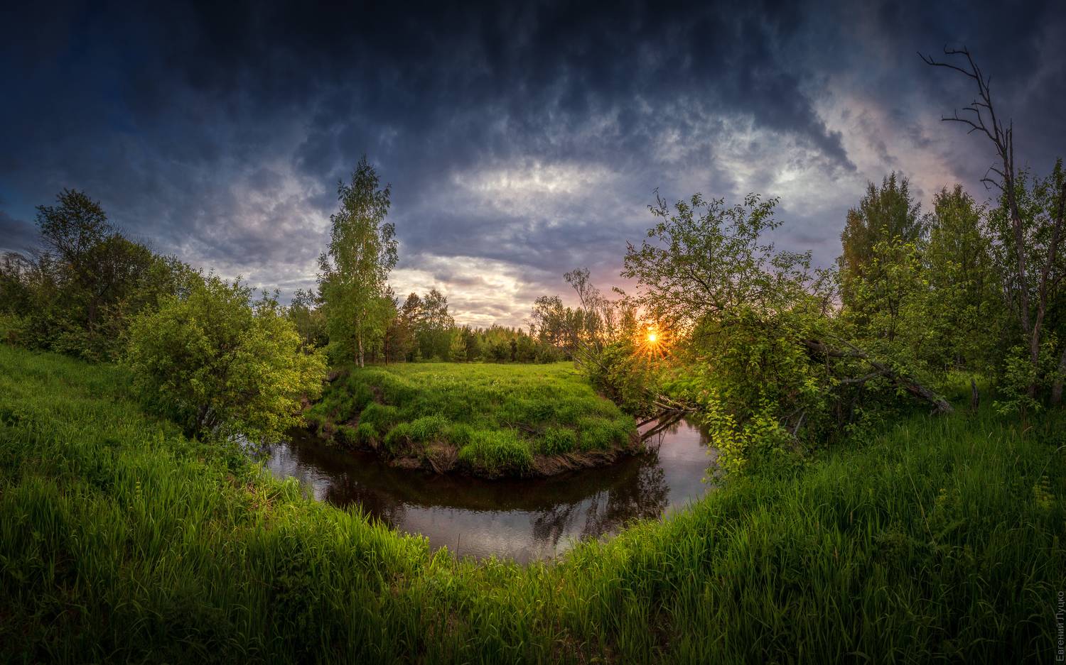 , Евгений Луцко