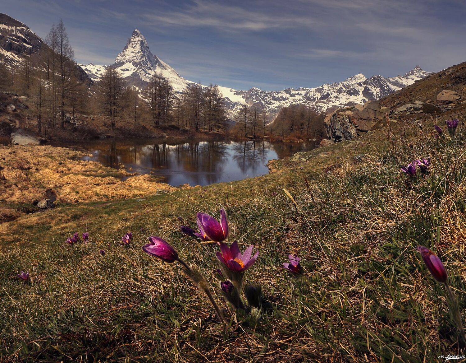 swiss,швейцария,весна,zermatt, Николай Матвеев