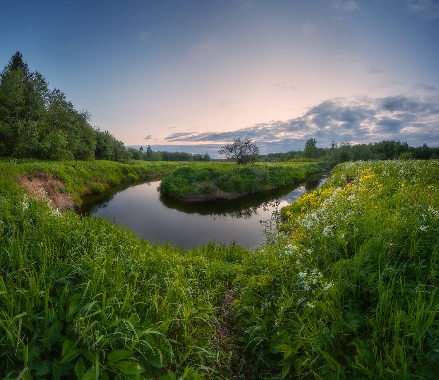 ленобласть, лето, речка, суйда, Марголин Алексей