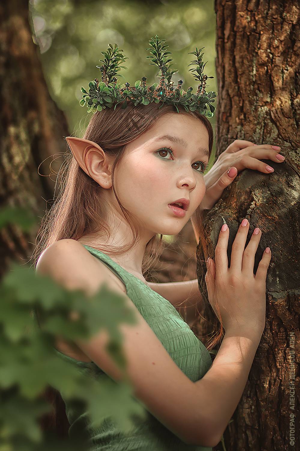 , Алексей Денисов