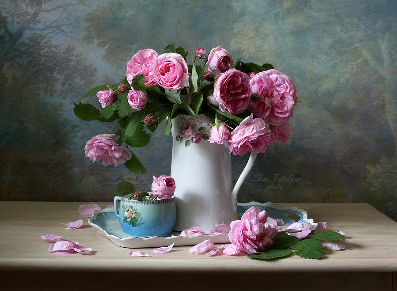 розы Самые душистые розы фото превью