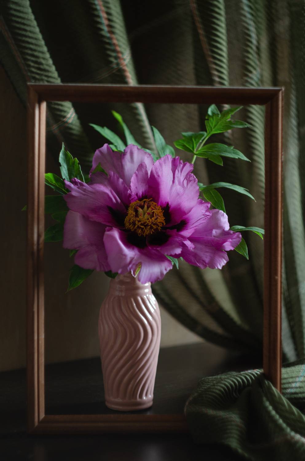 пион, Shadow Anna