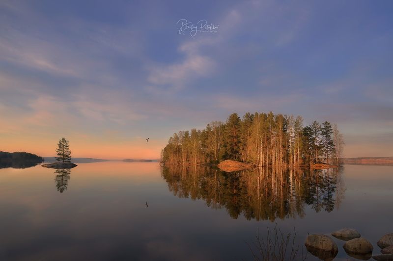 весна, природа, пейзаж, озеро, небо, остров, утро Утро фото превью