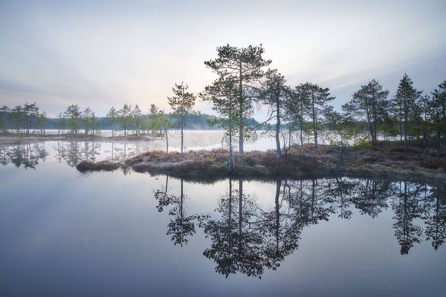 , Кононов Антон