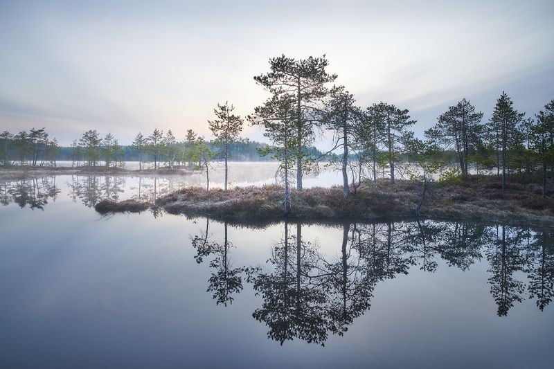 Утро фото превью