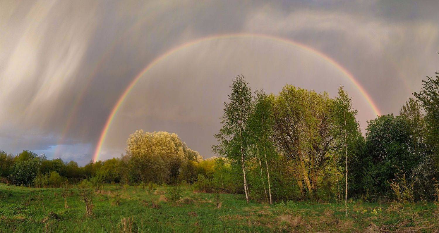 , Светлана Кондрашова