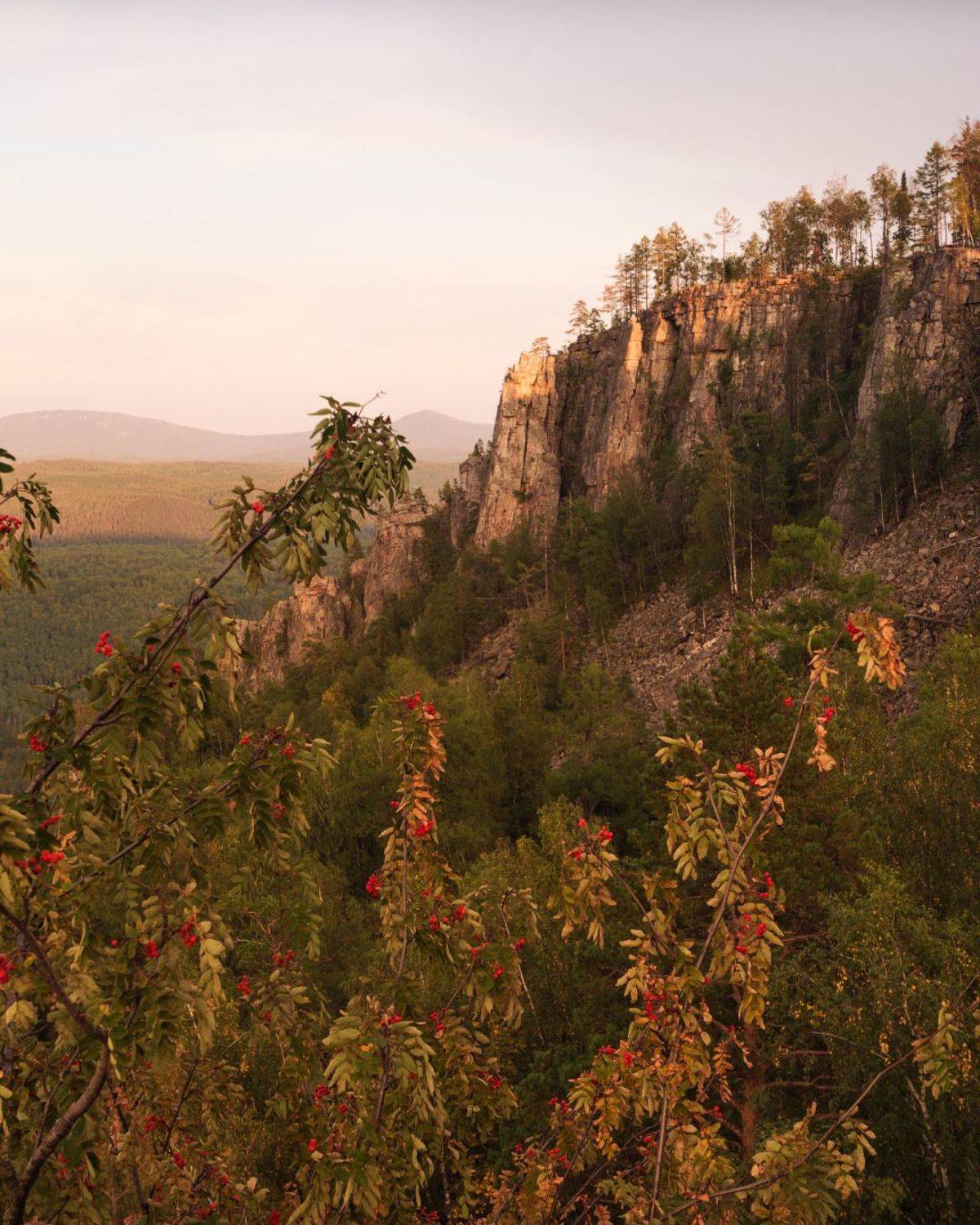 , Алексей Проняхин