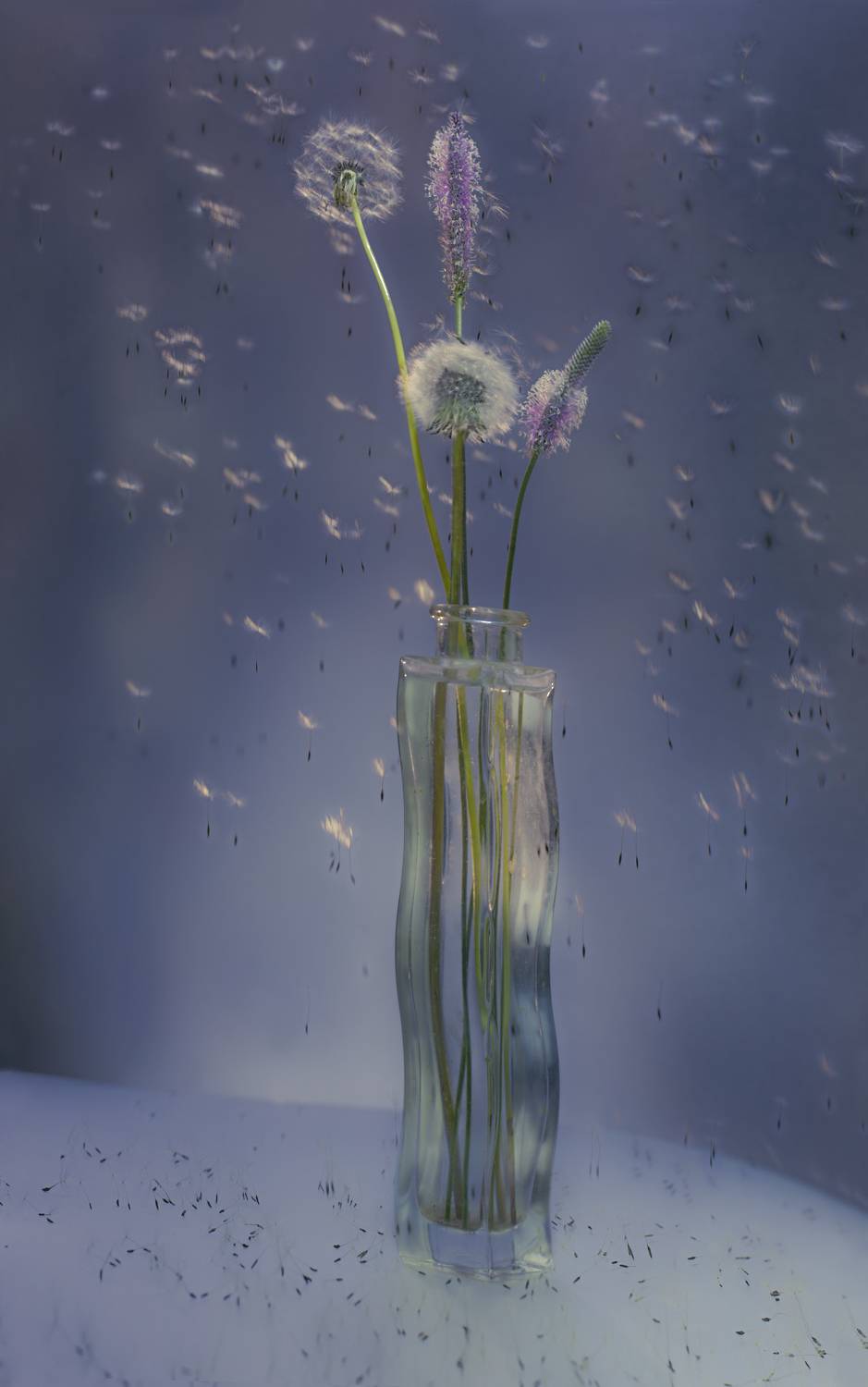 , Черновол Валентин