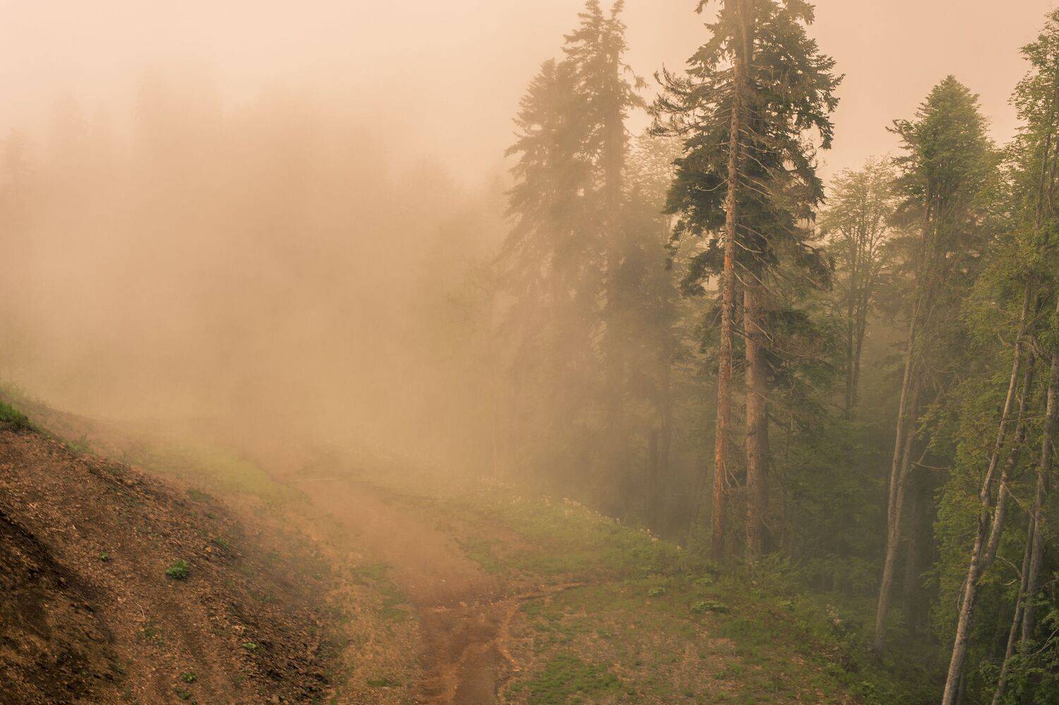 , Виктор Черкасов