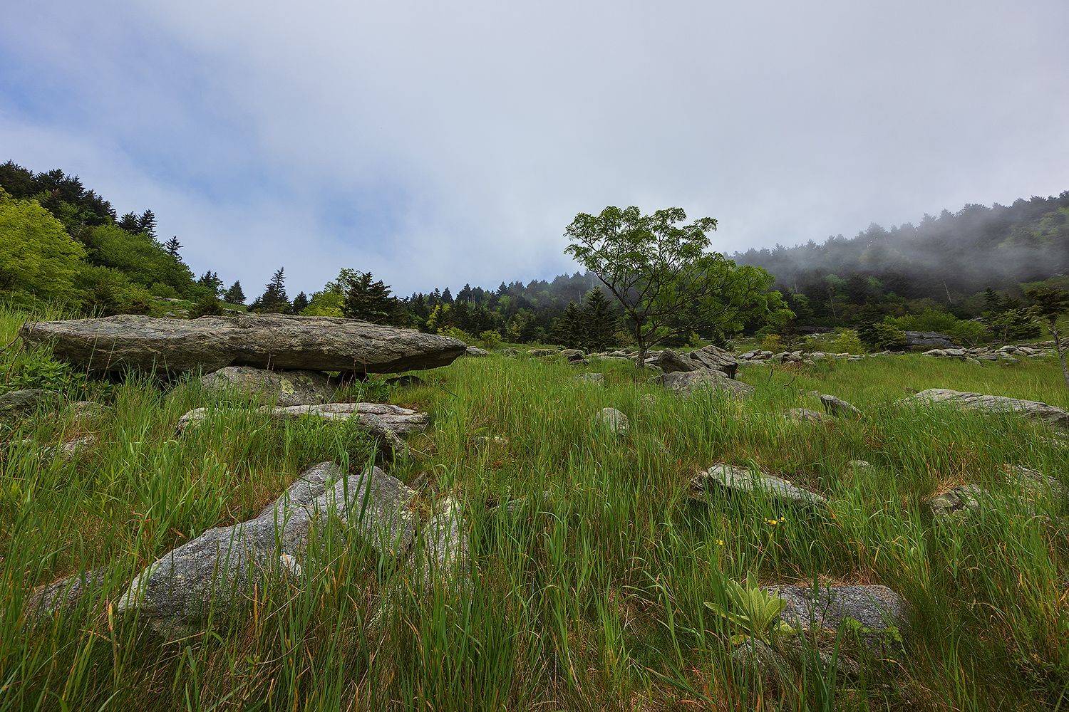 , Леонид Дьяченко
