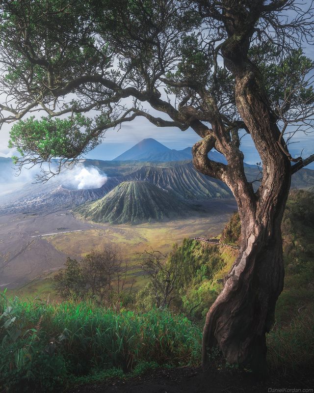 Bromo Indonesia