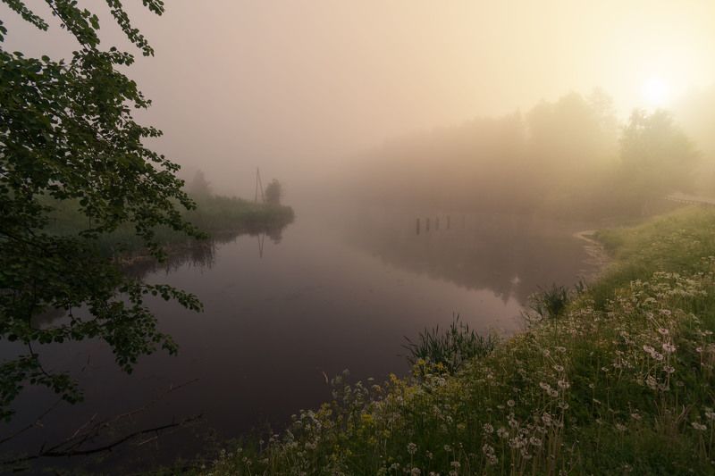 утро у реки фото превью