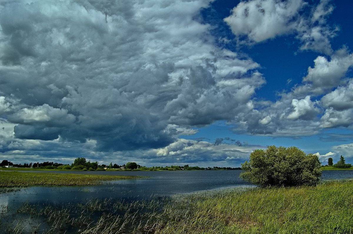 , Николаев Владимир