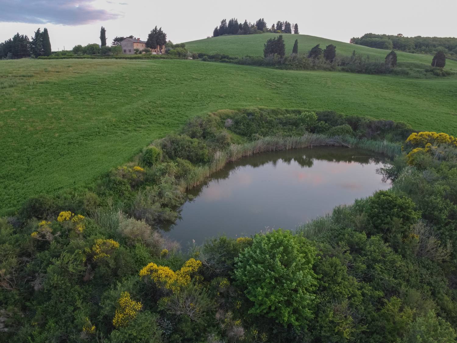 , Максимова Дария