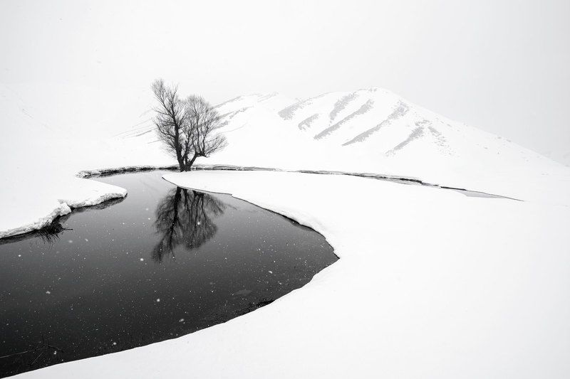 Winter and trees фото превью