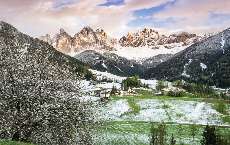 1 фото превью