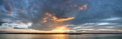 Оранжевая птица