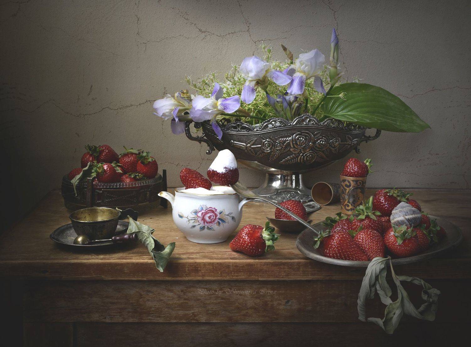 , Ирина Шипунова