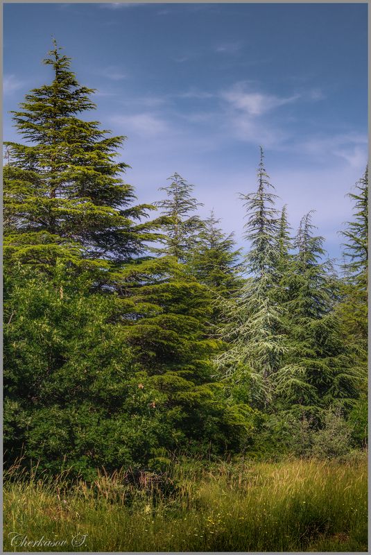 крым, лето,  фото превью