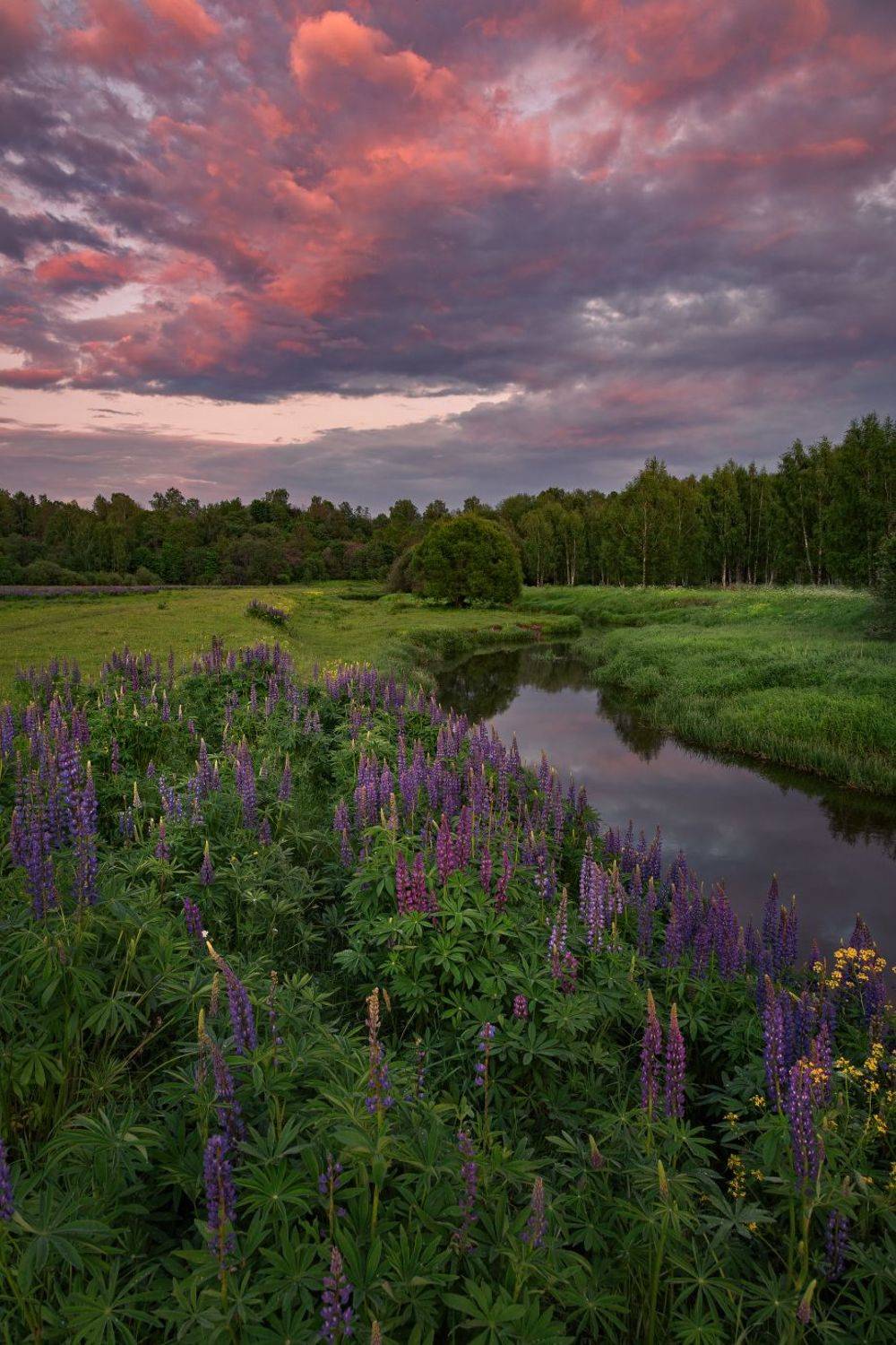 , Евгений Ерохин