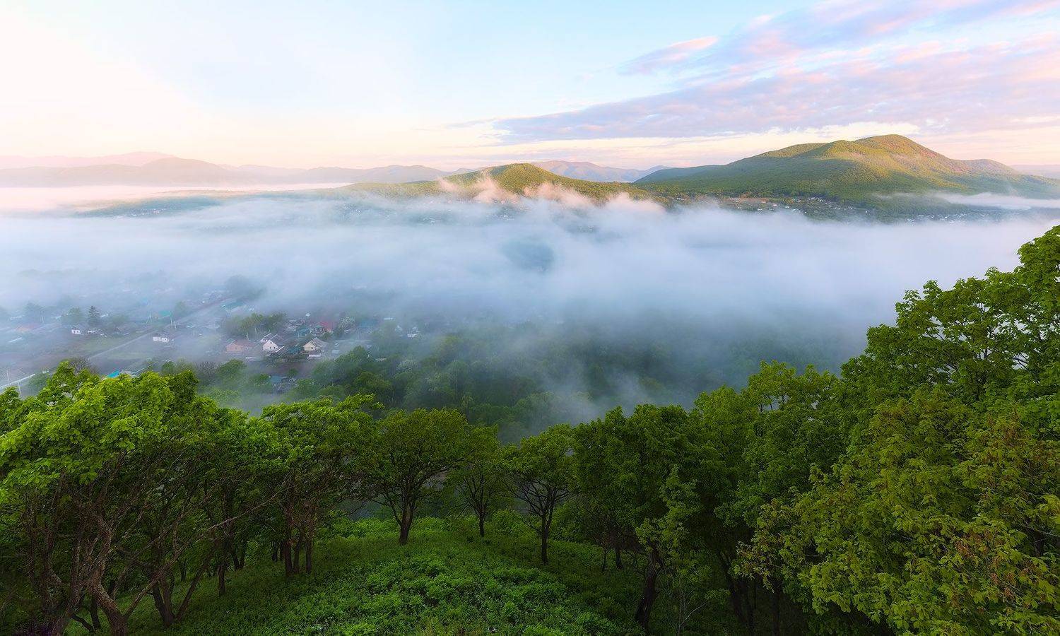 утро, туман, горы, лес, приморский край, весна, Евгений Паршуков