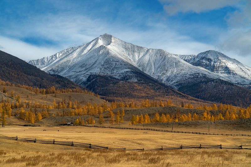 саяны, бурятия, окинский район, осень Под горой фото превью