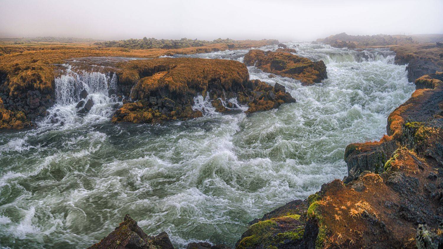 , Шварцман Евгений