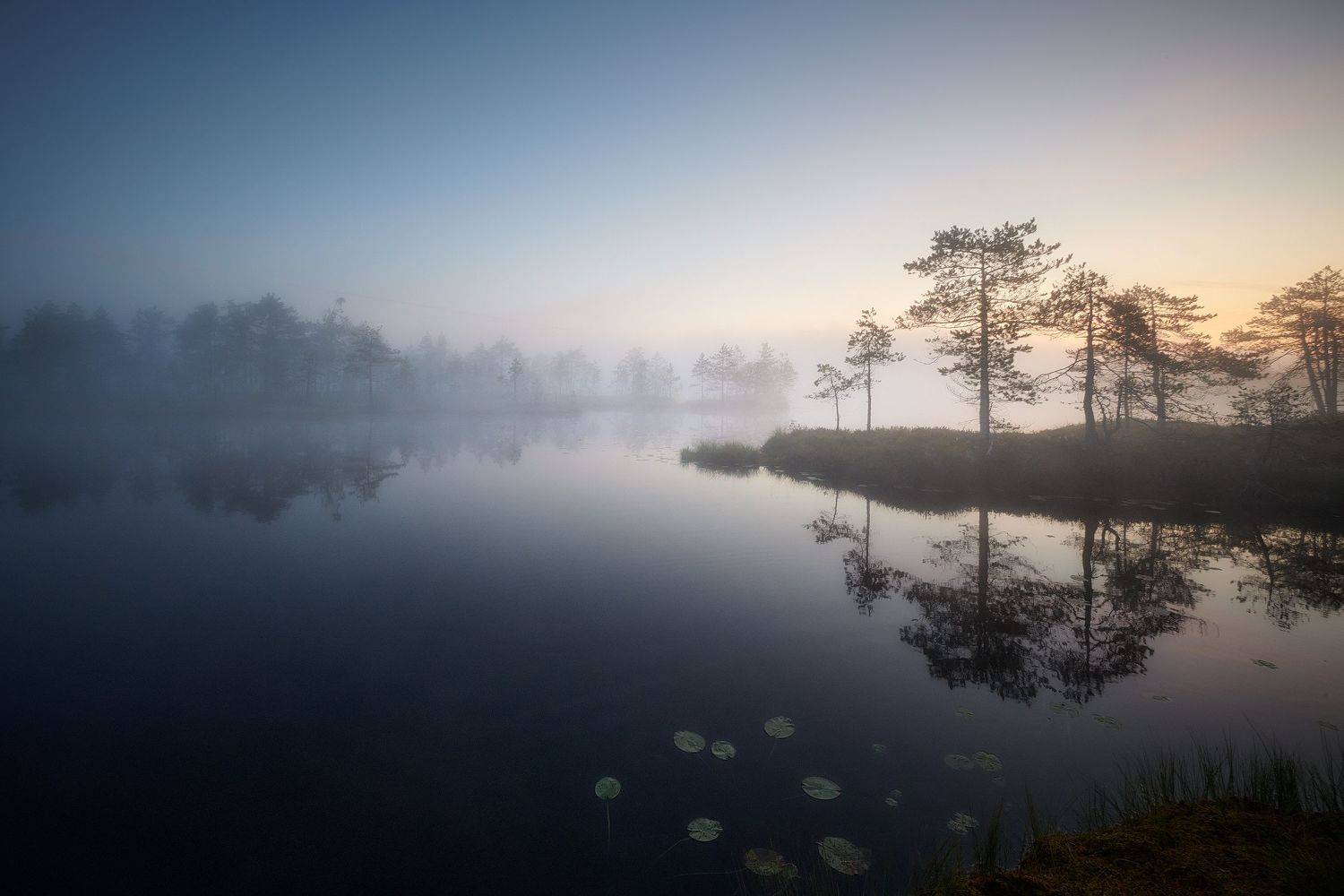 , Кононов Антон