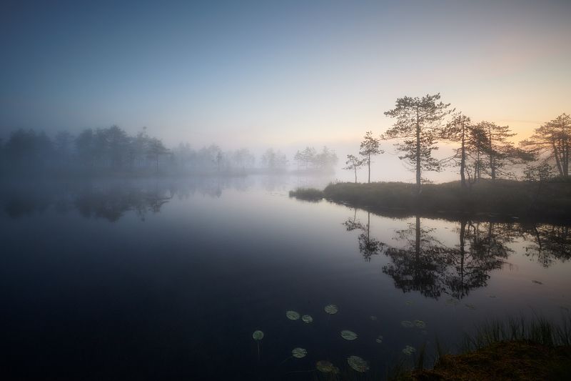 Начинается новый день... фото превью