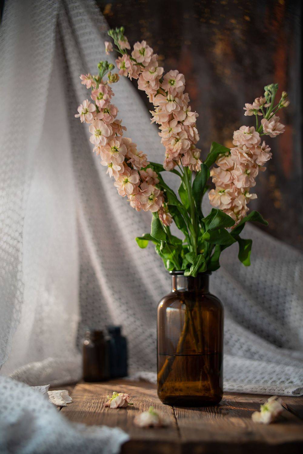 натюрморт цветы свет вечер, Тата Бакбак