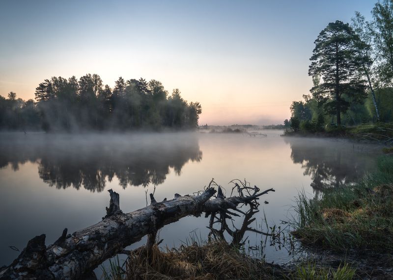 Доброе утро…  Good morning… фото превью