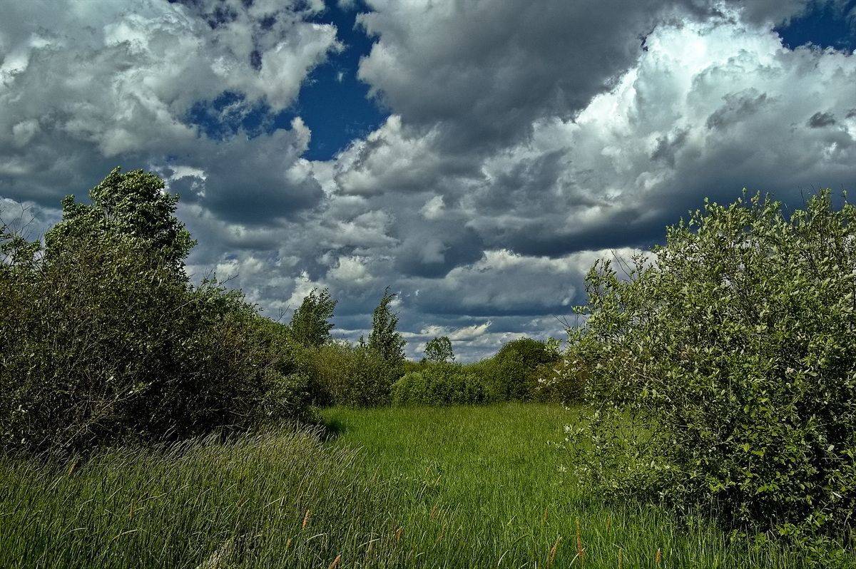 , Николаев Владимир