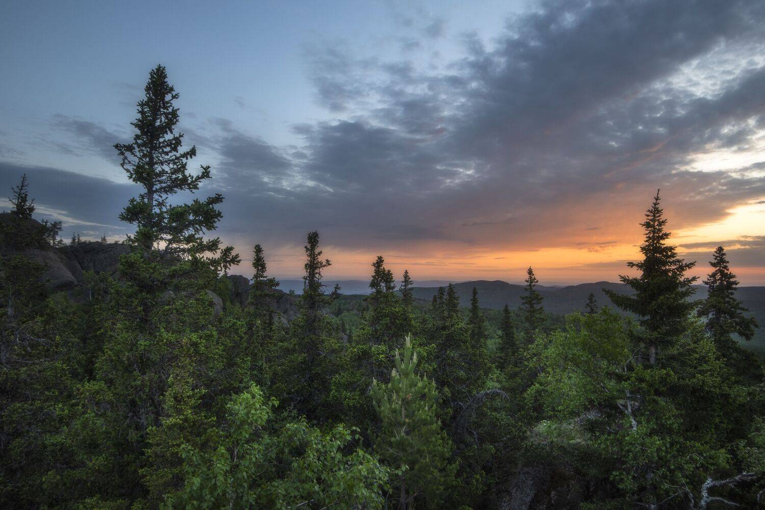 , Антонов Антон