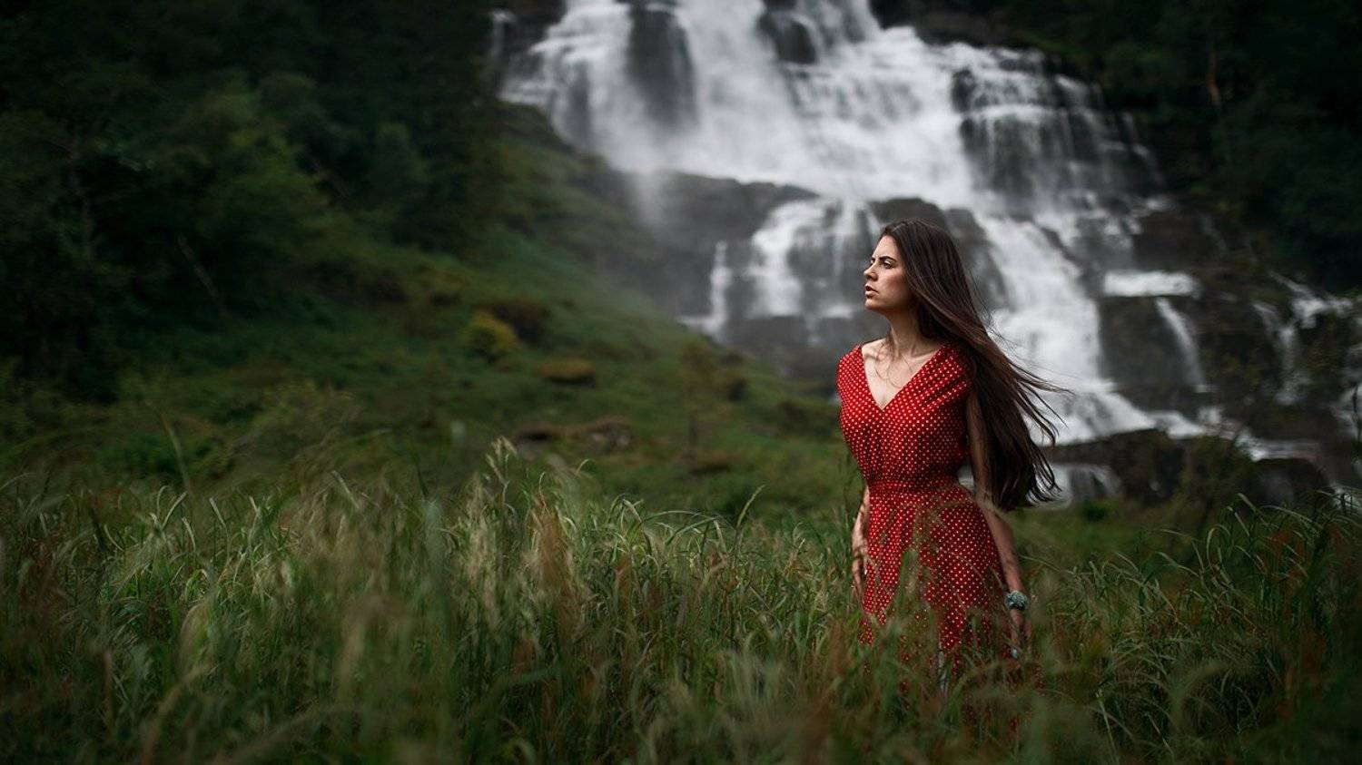 , Максим Густарев