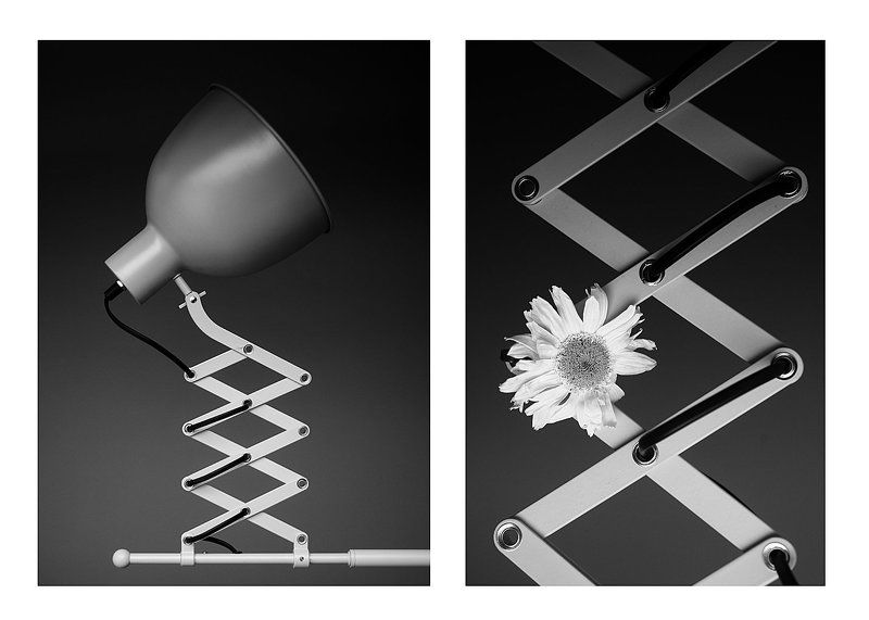 Rhythm, LIGHT,  Rhythm фото превью