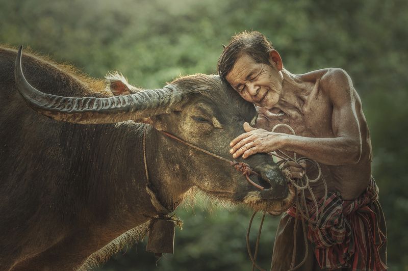 Rural Scene Agriculture Country Road Cultivated Land Farmer Friendship Horizontal Lifestyles Living Organism Love Male Friendship Occupation Outdoors Pets Photography Professional Occupation Thai Culture Thailand Tradition beautiful city clouds green rain The bound of the master and faithful pet. фото превью