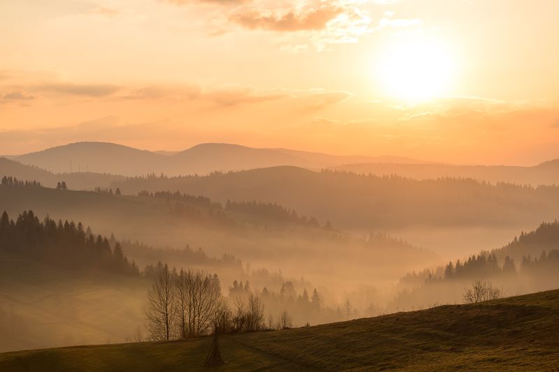 Весна в Карпатах фото превью