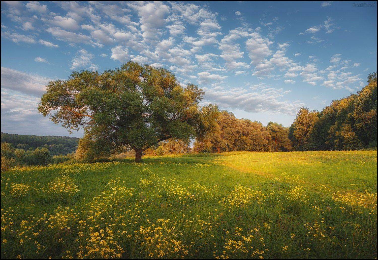 , Минаев Павел