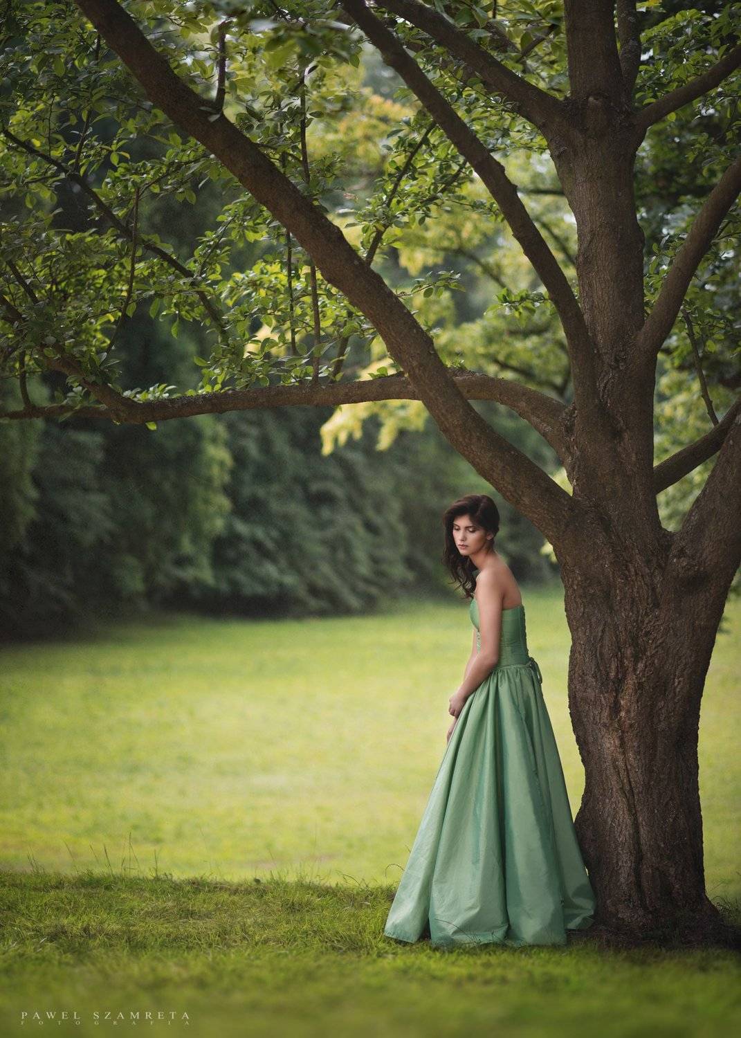 ***. Автор: Pawel Szamreta , Pawel Szamreta