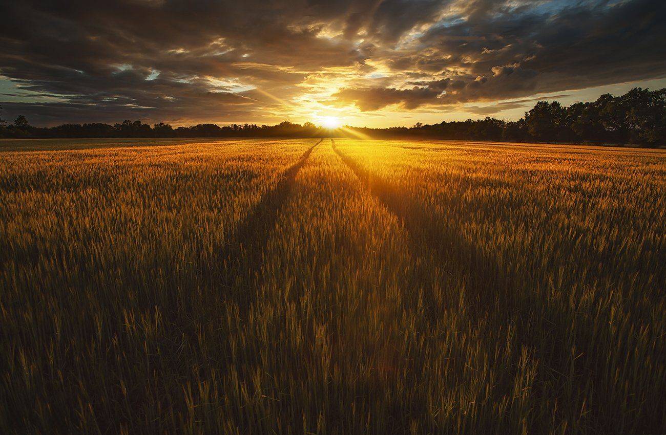 Закат, Ключенков, Мечта, Пейзаж, Эстония, Kljuchenkow Aleksandr